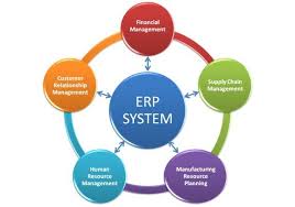 Custom Software Development
